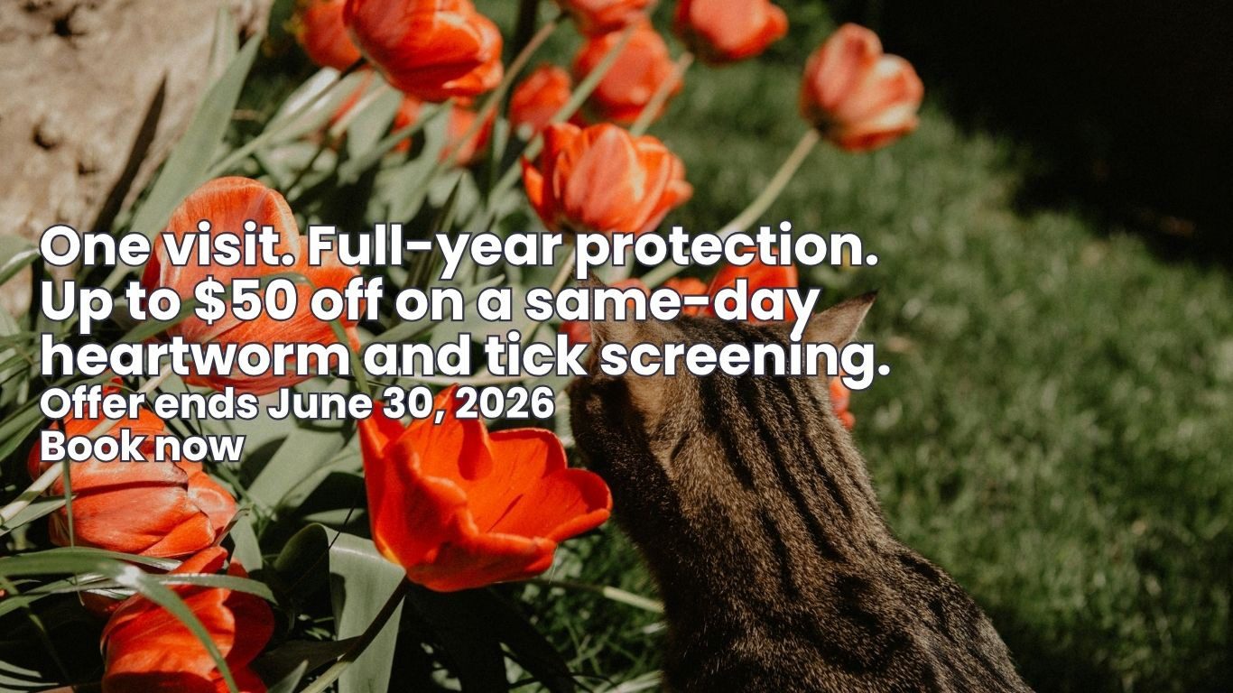 Image of a dog and cat with text: Same Day Appointments Available! Book Now!